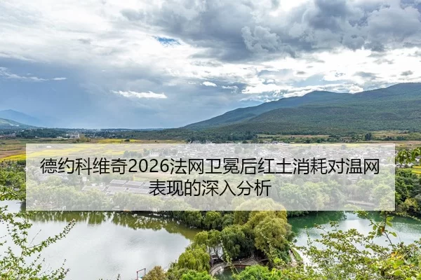 de-yue-ke-wei-qi-fa-wang-wei-mian-hou-hong-tu-xiao-hao-dui-wen-wang-biao-xian-de-shen-ru-fen-xi-2-131.jpg