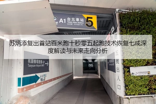 苏炳添复出首站百米跑十秒零五起跑技术恢复七成深度解读与未来走向分析