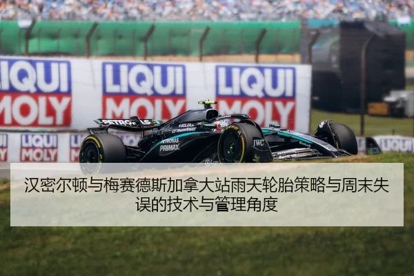han-mi-er-dun-yu-mei-sai-de-si-jia-na-da-zhan-yu-tian-lun-tai-ce-lve-yu-zhou-mo-shi-wu-de-ji-shu-yu-guan-li-jiao-du-2-695.jpg